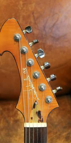 Philippe Dubreuille Guitare / Cithare de 1998