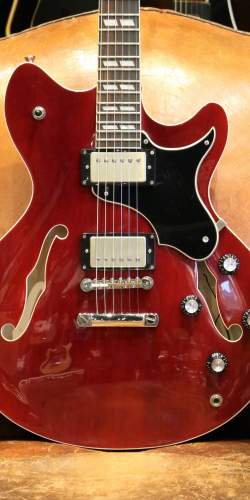 Echopark Esperanto 313 Cherry 2010's