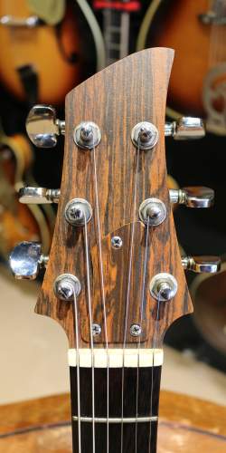 Ampeg Dan Armstrong Lucite de 1969/70