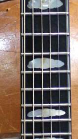 Buscarino Starlight Steel String Custom Built de 1995