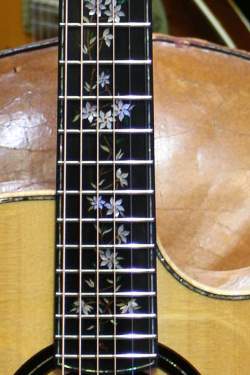 PRS Private Stock Angelus Cutaway Tree Of Life Limited Edition 1/11 de 2014