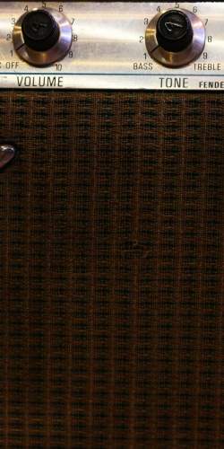 Fender Musicmaster Bass Amp de 1972