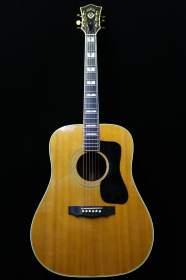 Guild D-55 de 1978