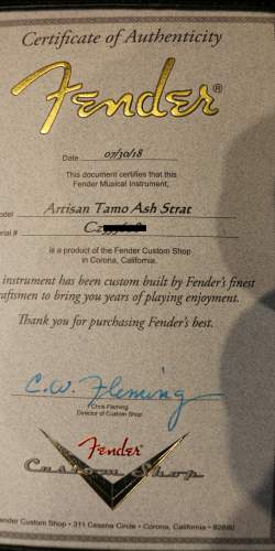 Fender Custom Shop Artisan Tamo Ash Stratocaster de 2018