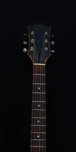 Guild T50 Cordoba Sunburst 1961