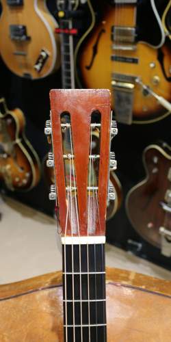 Washburn Style G Parlor Naturelle de 1923