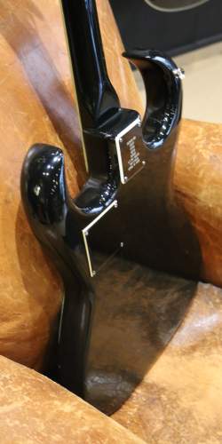 Burns Black Bison de 1963