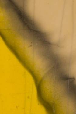 Wandre Davoli BB Yellow smoked