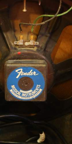 Fender Musicmaster Bass Amp de 1972