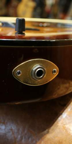 Buscarino Starlight Steel String Custom Built de 1995