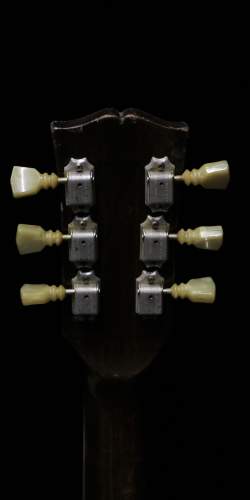 Gibson ES-335 Gaucher Walnut de 1971