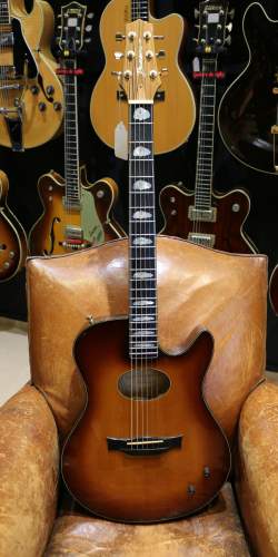 Buscarino Starlight Steel String Custom Built de 1995