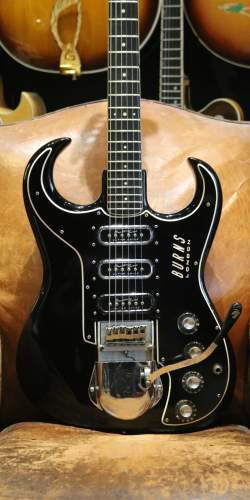 Burns Black Bison de 1963