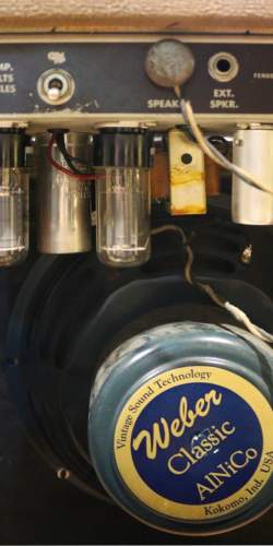 Fender Princeton Brown Face de 1962