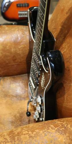 Burns Black Bison de 1963