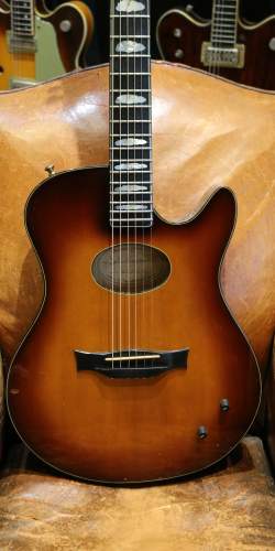 Buscarino Starlight Steel String Custom Built de 1995
