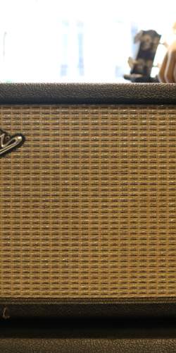 Fender Reverb Unit Blackface White Knob de 1964