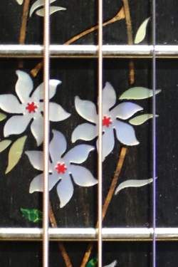 PRS Private Stock Angelus Cutaway Tree Of Life Limited Edition 1/11 de 2014