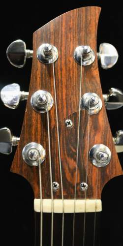 Ampeg Dan Armstrong Lucite de 1970