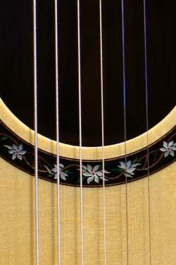 PRS Private Stock Angelus Cutaway Tree Of Life Limited Edition 1/11 de 2014