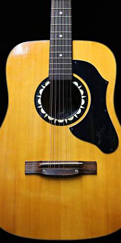 Höfner 4900 12 cordes de 1971