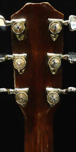 Taylor 515 Naturelle de 1978