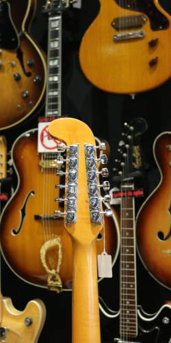 Fender Electric XII sunburst de 1966