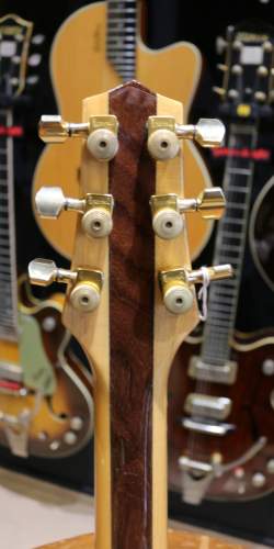 Buscarino Starlight Steel String Custom Built de 1995