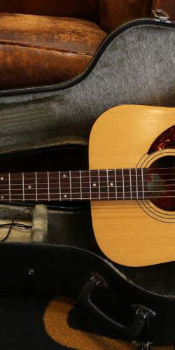 Norman S30 Naturelle de la fin des années 70