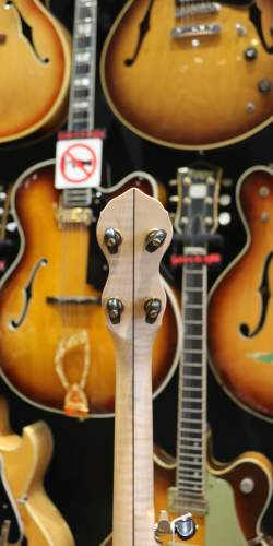 Pisgah Banjo Custom 3366 de 2024