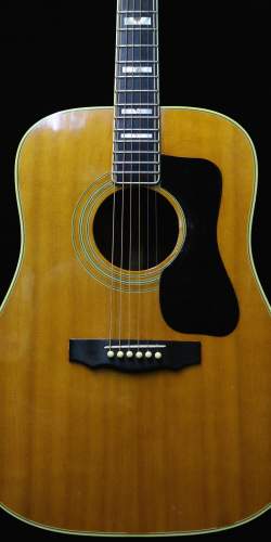 Guild D-55 de 1978
