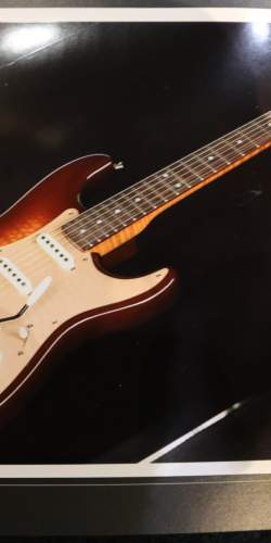 Fender Custom Shop Artisan Tamo Ash Stratocaster de 2018