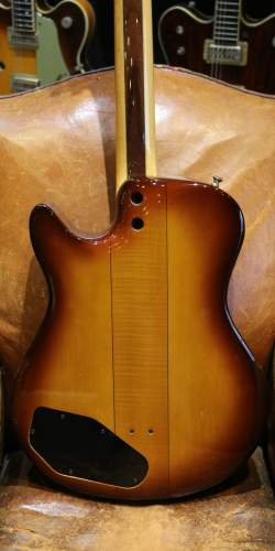 Buscarino Starlight Steel String Custom Built de 1995