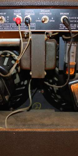 MusicMan 210 Sixty Five de 1977