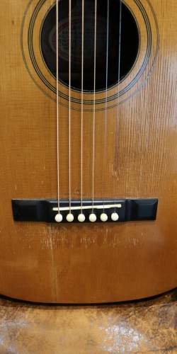 Washburn Style G Parlor Naturelle de 1923