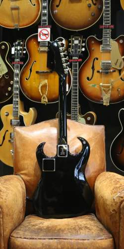 Burns Black Bison de 1963