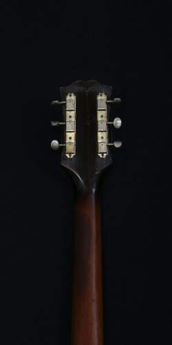 Guild T50 Cordoba Sunburst 1961