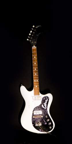 Collection de Wandre Guitares and Basses