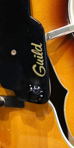 Guild Artist Award Sunburst de 1975