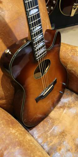 Buscarino Starlight Steel String Custom Built de 1995